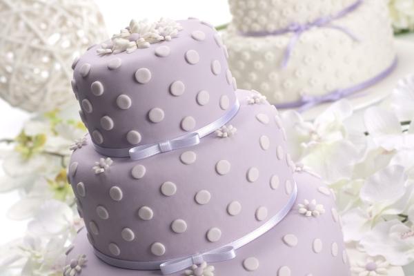 属相兔2026年运势吉凶怎样 属相兔2026年运势吉凶怎样