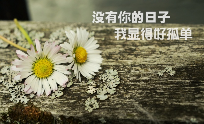 刀伤入梦吉凶辨:不同命格运势启示录 刀伤入梦吉凶辨:不同命格运势启示录