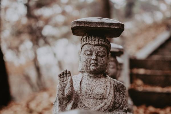 属狗人住宅风水指南:选对居家方位助旺人生运势 属狗人住宅风水指南:选对居家方位助旺人生运势