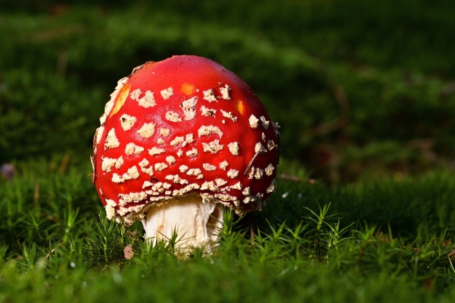 梦境解析:打火烧梦象的财富与运势寓意 梦境解析:打火烧梦象的财富与运势寓意