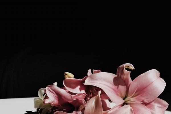 生肖羊的五行属性揭秘:这两类属羊人命格最优 生肖羊的五行属性揭秘:这两类属羊人命格最优