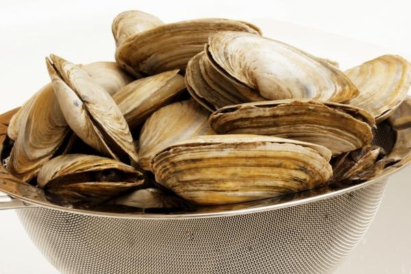 梦到煎头发？命理解梦揭示事业人际的玄机