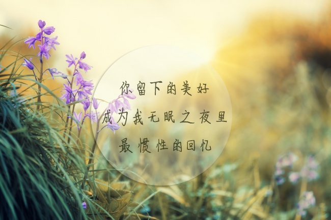 属牛人晚年运势深度解析：厚积薄发与暗藏隐忧