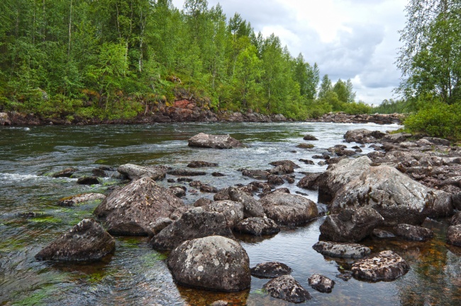 2026年属相龙结婚大利月是几月