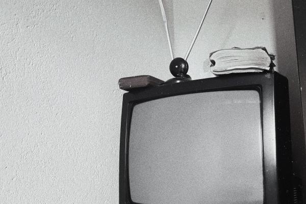 1971年属猪人命运全解：闰五月苦命猪如何破局？