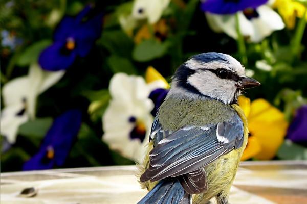 属猴人2026年盖房好吗吉利吗,2026年属猴人盖房最佳时间 属猴人2026年盖房好吗吉利吗,2026年属猴人盖房最佳时间