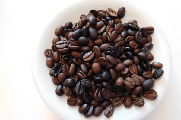 属鼠2026的超大贵人