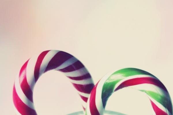 2026年属狗总算转运了