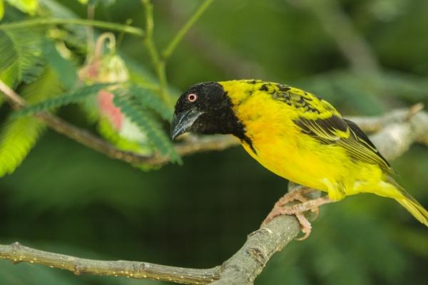 2026年是属龙人较大变化