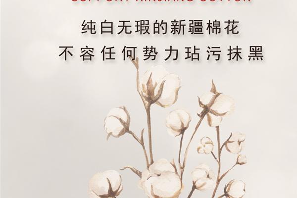 1966年是苦命马或是富马 1966年是苦命马或是富马