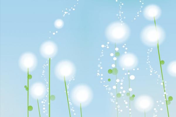 梦见墙上有虫的命理解析与运势启示 梦见墙上有虫的命理解析与运势启示