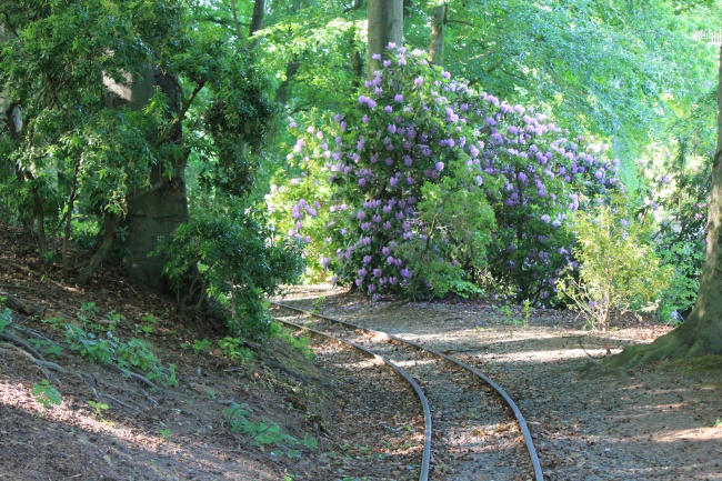 属狗的心里住着谁 属狗的心里住着谁