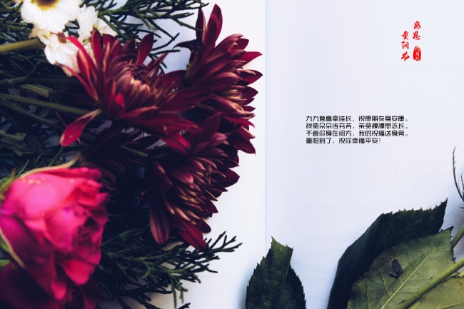 1991年羊正缘发生时间