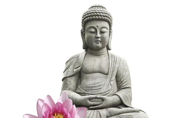 未时女命解析：早年磨砺，晚年福泽的时辰密码