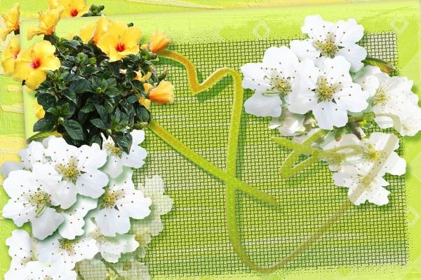 2026年属兔大忌方向，属兔不能进什么方向