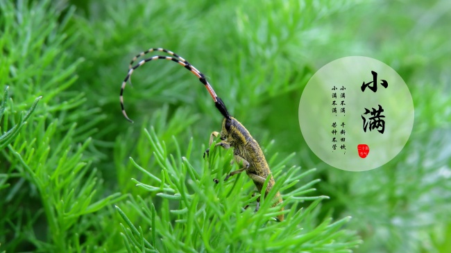 属兔人哪些时辰命运坎坷?揭秘命理中的苦命与福运 属兔人哪些时辰命运坎坷?揭秘命理中的苦命与福运