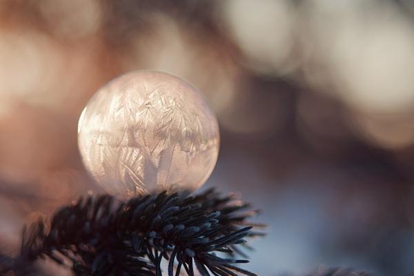 1975年兔女在2026年运势 1975年兔女在2026年运势