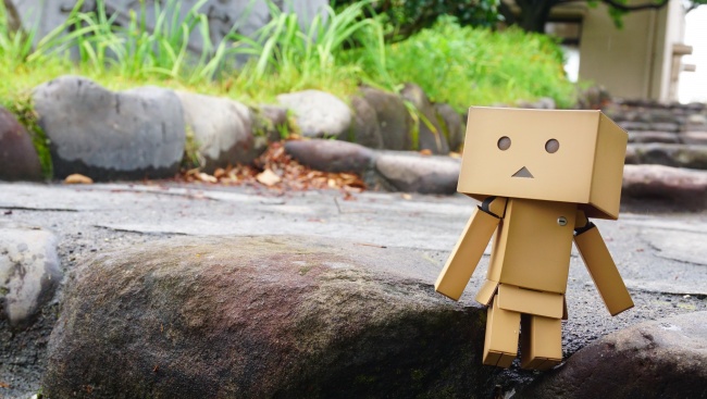 2026属兔几月有贵人 2026属兔几月有贵人