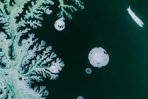 1990属马2026年生宝宝到底好不好