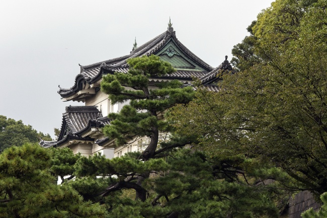属虎和属蛇相冲吗