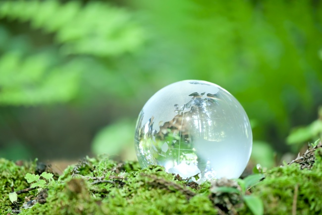 2025年农历9月哪一天扫墓好