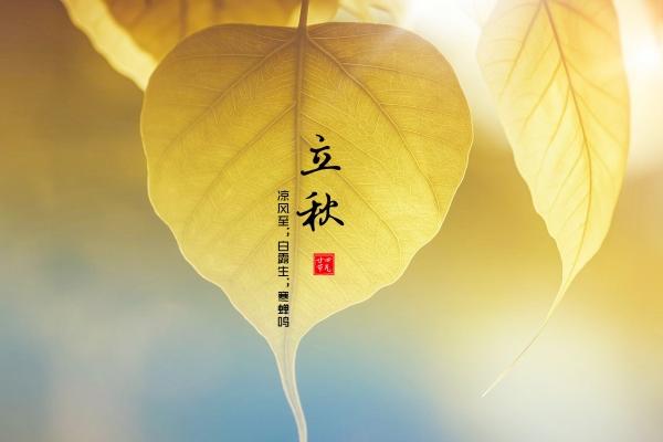 2026年属相猪孽缘生肖是谁