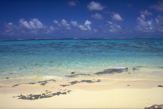 66年男马2026年婚姻运势怎样 66年男马2026年婚姻运势怎样