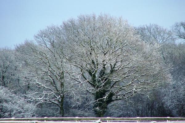 2026年生肖属猴投资吉凶分析 2026年生肖属猴投资吉凶分析