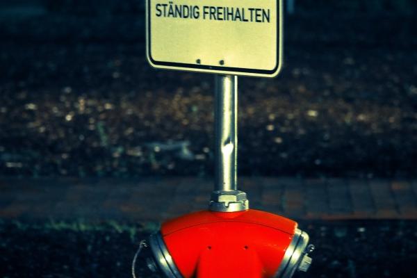 2026年属龙的能生日日吗，龙生日日注意事项