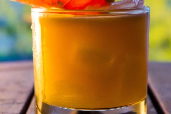 属猪2026年有大喜缠身