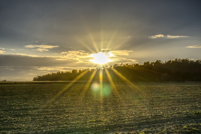 属猪人运程不如意如何化解 属猪人运程不如意如何化解