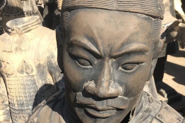 2026属牛的大忌颜色