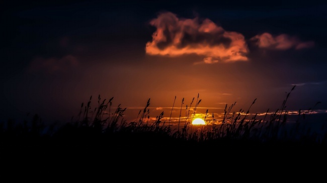 2026属蛇的大忌颜色 2026属蛇的大忌颜色