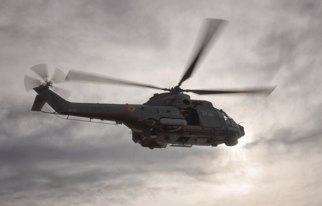 2026属虎的大忌颜色