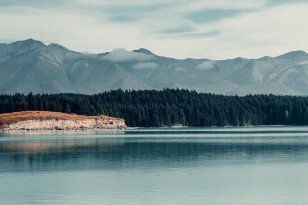 2026年属相属鸡投资吉凶分析 2026年属相属鸡投资吉凶分析