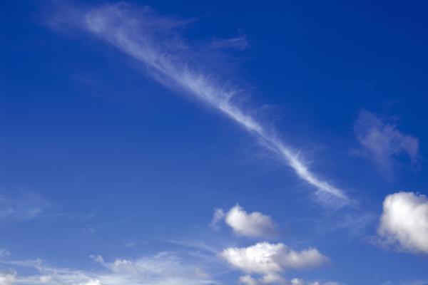 2026属龙的大忌颜色