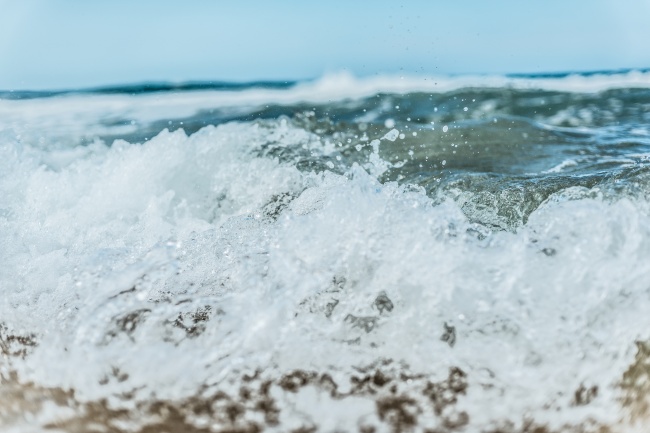 几月出生鸡劳苦一生