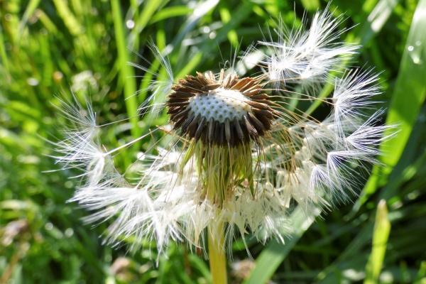 1962年属虎人2026年运势 1962年属虎人2026年运势