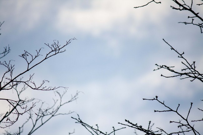 93属鸡不要买几楼