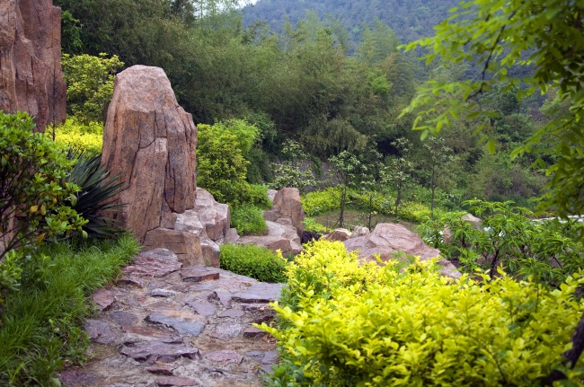 1960年属鼠人一生命运