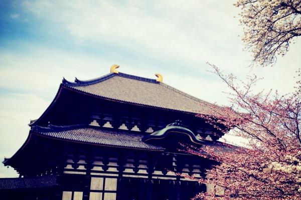 2026年谁能帮属狗得人，哪位属相狗的贵人