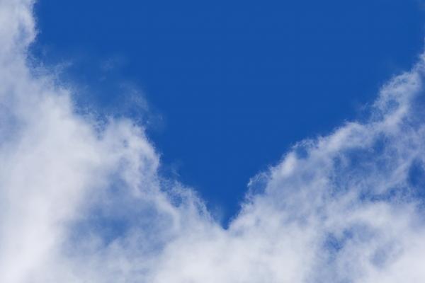 2026年属牛有添丁之喜吗,有子女运吗 2026年属牛有添丁之喜吗,有子女运吗