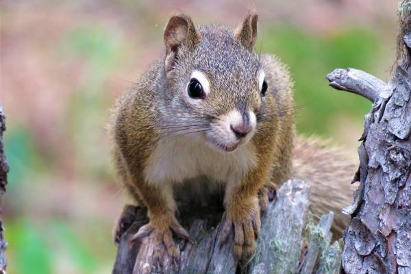 2002年属马婚姻在哪个方位好 2002年属马婚姻在哪个方位好