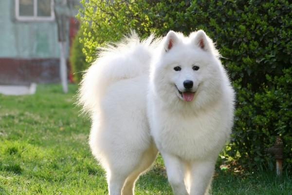 金马命住几楼好 金马命住几楼好