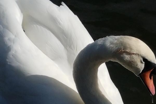 4两7钱女命是上等命吗 4两7钱女命是上等命吗