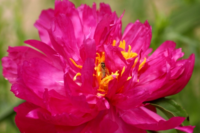 2026年农历1月安床吉日一览表