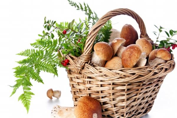 2025年阴历12月9日是否吉日吉时