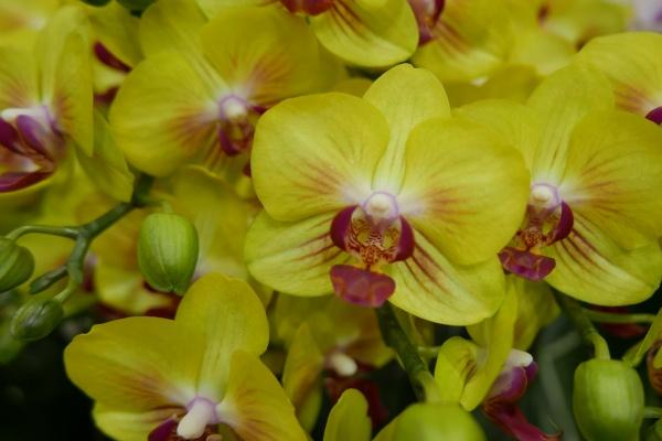 2025年阴历12月3日是不是黄道吉日