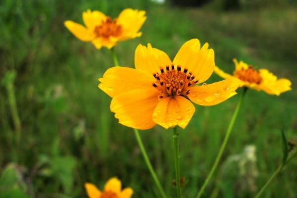 梦到挡刀会是什么预兆