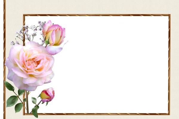 梦到了风起云涌有什么含义